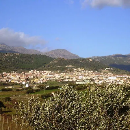 La Casa Nell'oliveto Nyaraló Berchidda