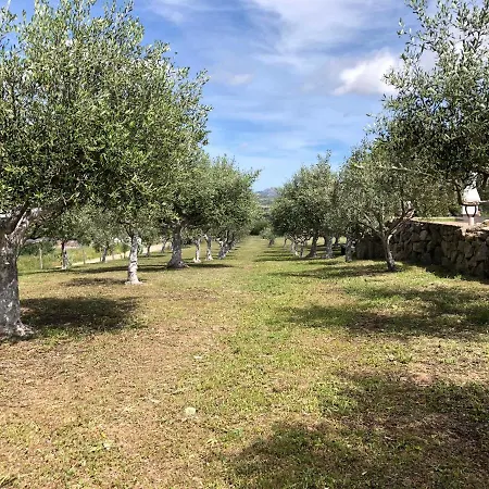 La Casa Nell'oliveto *