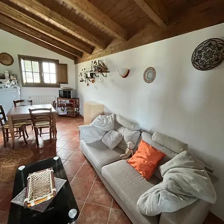 Semesterbostad La Casa Nell'oliveto *