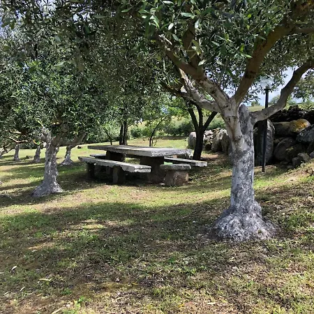 Semesterbostad La Casa Nell'oliveto *